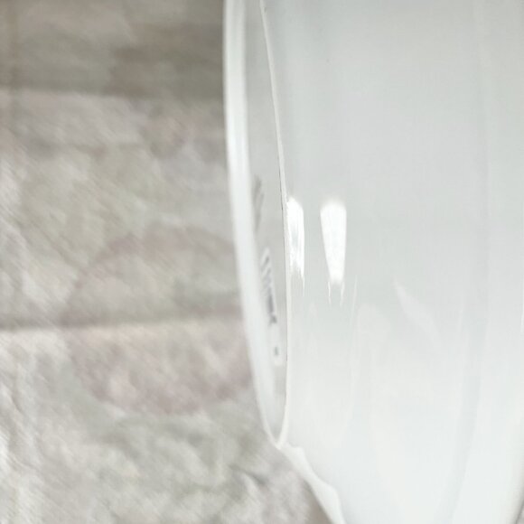 Williams Sonoma Botanical Leaf and Turkey 8.5" Salad Plate Fall Thanksgiving - Picture 8 of 12